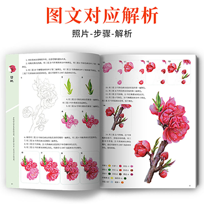 Een Cursus Van Praktische Kleu - Food Snacks Coloring Book recensie en prijs