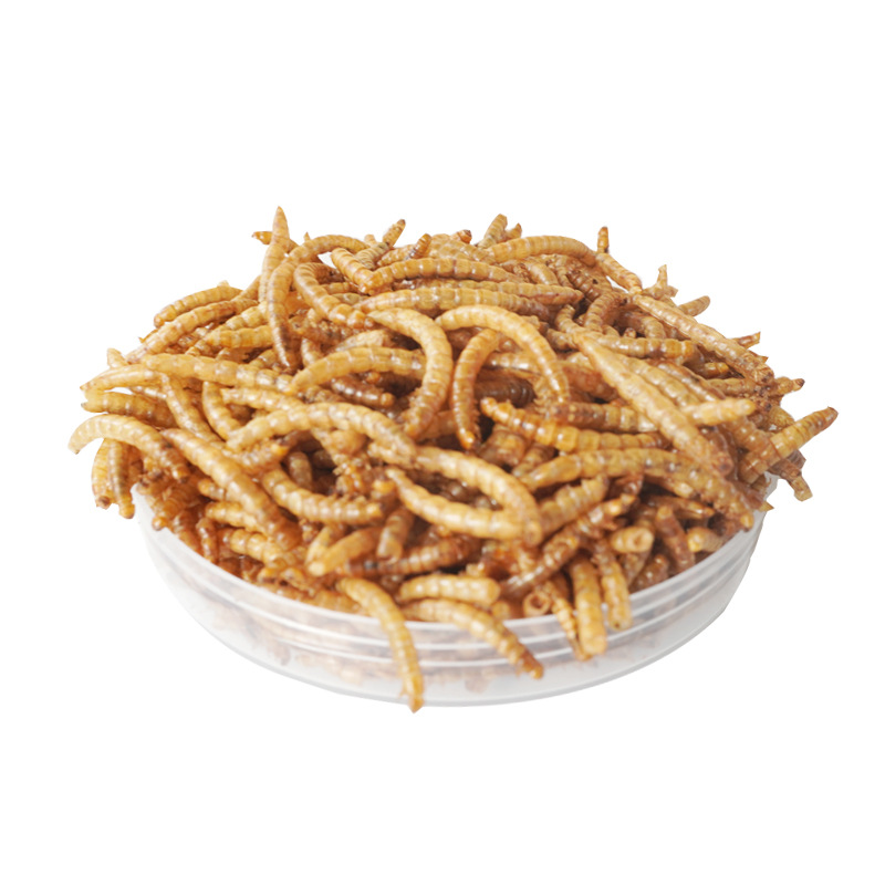 Eiwitrijke snacks voor hamster - Food Snacks High In Protein recensie en prijs