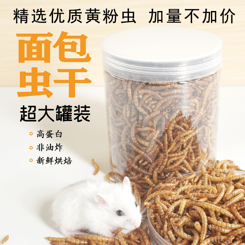 Eiwitrijke snacks voor hamster - Food Snacks High In Protein recensie en prijs